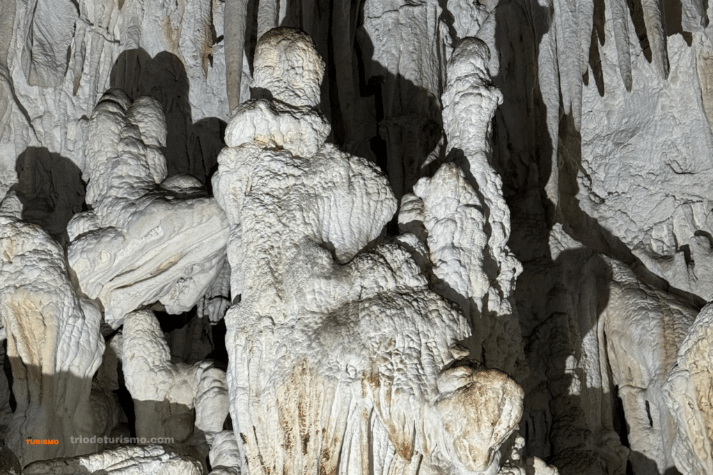 stalactites et stalagmites dans  le parc national Barra Honda