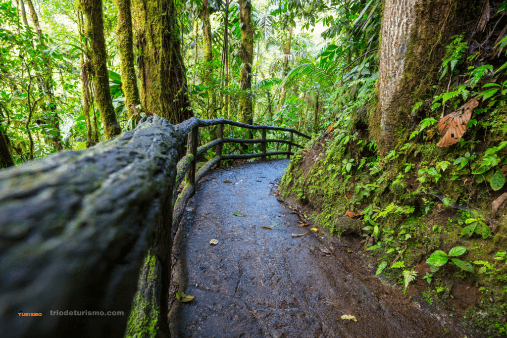 Sentier aménagé, Guide des parcs nationaux au Costa Rica