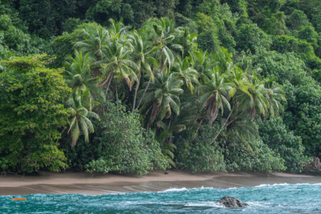 île Cano, les îles du Costa Rica, île Cano et île Tortuga  