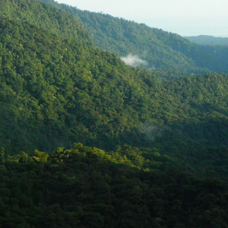 Le parc national Braulio Carrillo, les parcs nationaux méconnus du Costa Rica