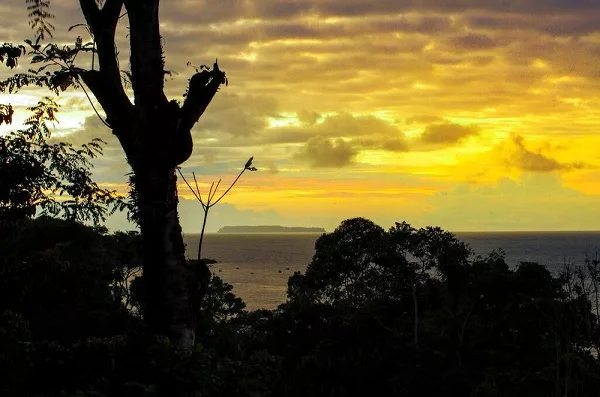 île Cano et île Tortuga. Voyage au Costa Rica