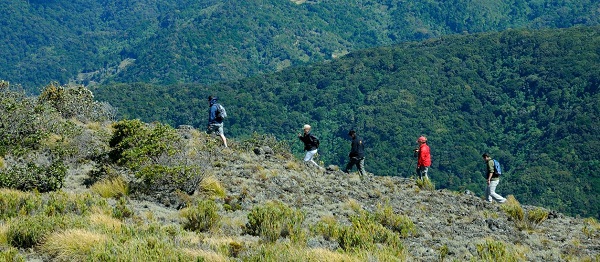 Le parc national des Quetzals. Randonnee au Cerro de la Muerte