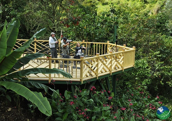 Le parc national des Quetzals, le Savegre lodge