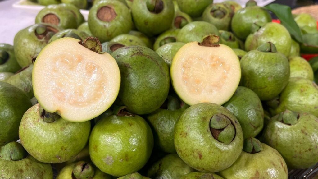 Un cas (Psidium friedrichsthalianum) frais, une fruit tropicale typique du Costa Rica.