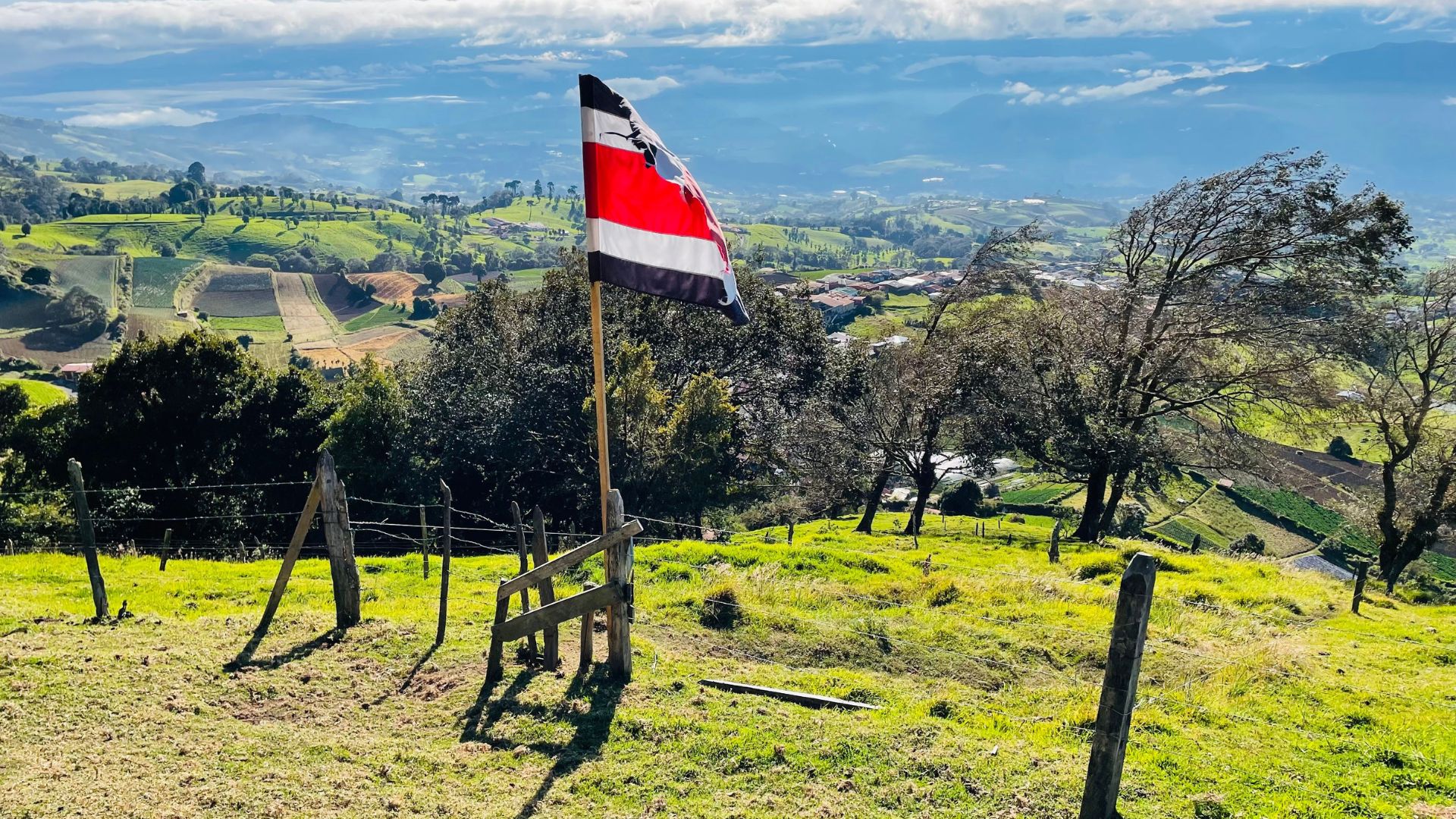 cartago2