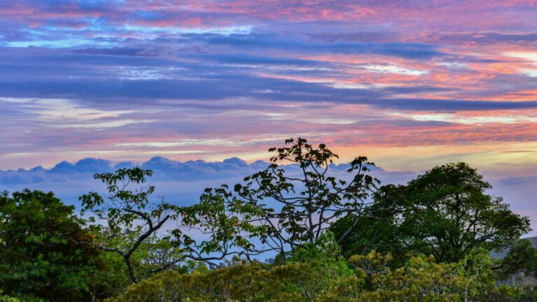 monteverde2