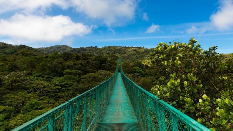 monteverde5