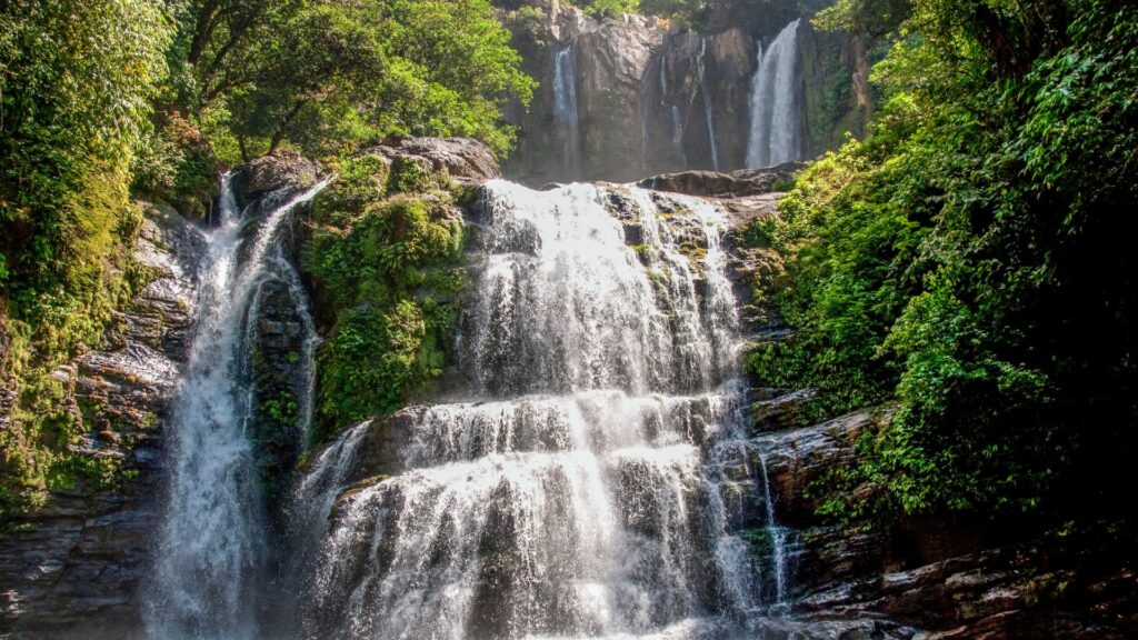 Séjour à Dominical, cascades, faune et flore