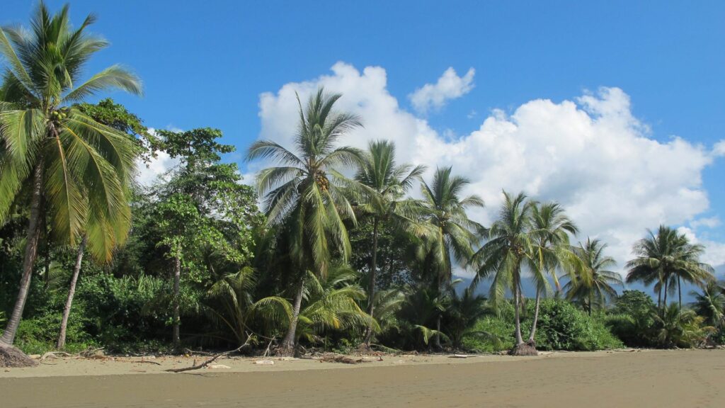 Séjour à Uvita, playa Arco et ventanas