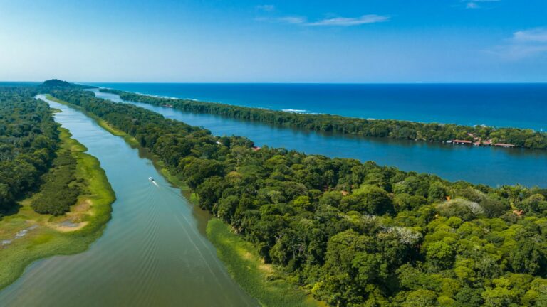 tortuguero1