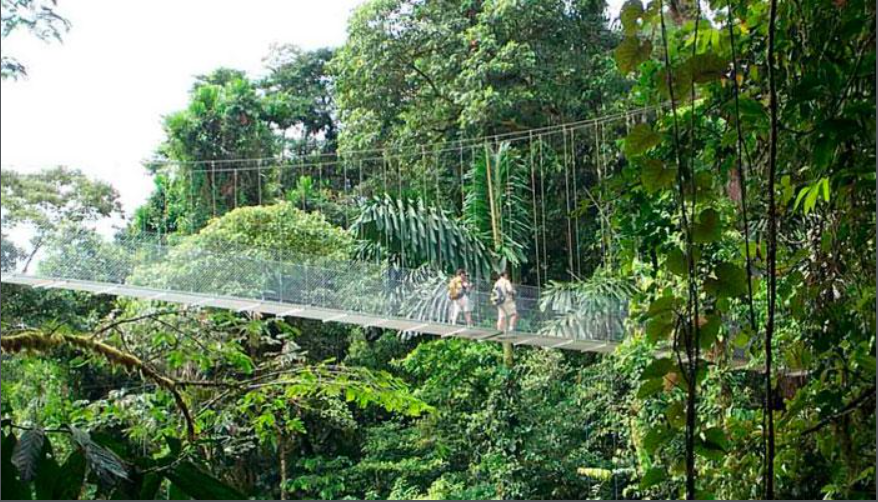 arenal