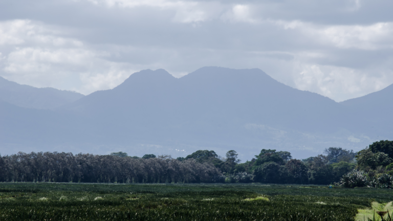 Le Cerro Chato