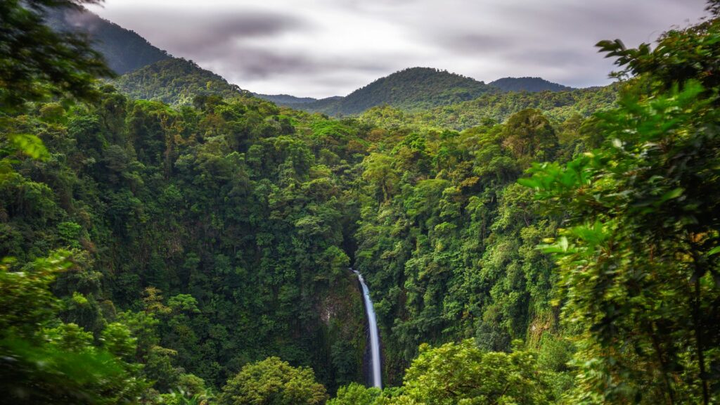 Saison verte (mai-novembre) au Costa Rica, voyage au Costa Rica