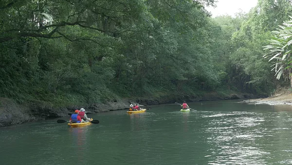 Kayak sur le Rio san Carlos. Partir au Costa Rica