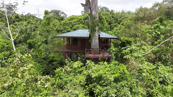 ​quel budget pour 15 jours au Costa Rica. Séjour sur mesure au Costa Rica, chambre dans les arbres