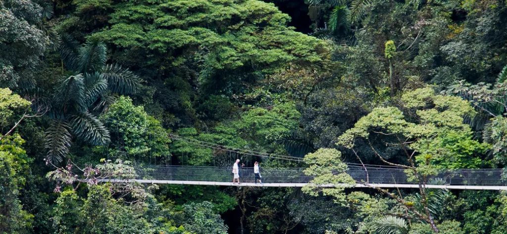 Ponts suspendus au Costa Rica. Partir au Costa Rica