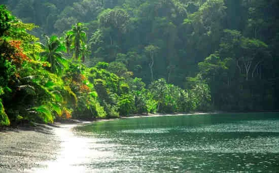 Le parc national de Corcovado. Costa Rica en novembre et décembre. Voyage en famille au Costa Rica