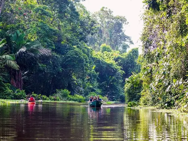 Le Canoë ou le Kayak au Costa Rica, les canaux de Tortuguero, voyage sur mesure au Costa Rica