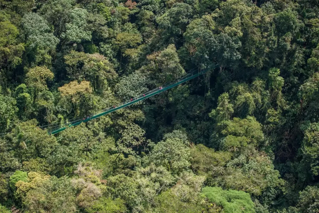 les ponts suspendus du Costa Rica, voyage au Costa Rica