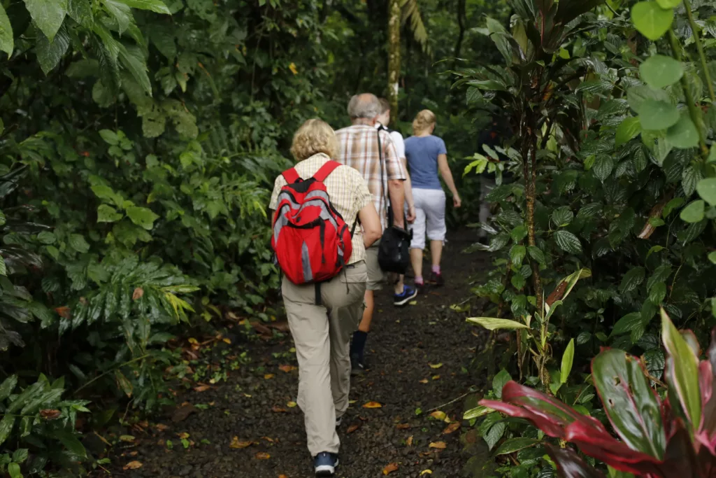 randonnée à pied au Costa Rica