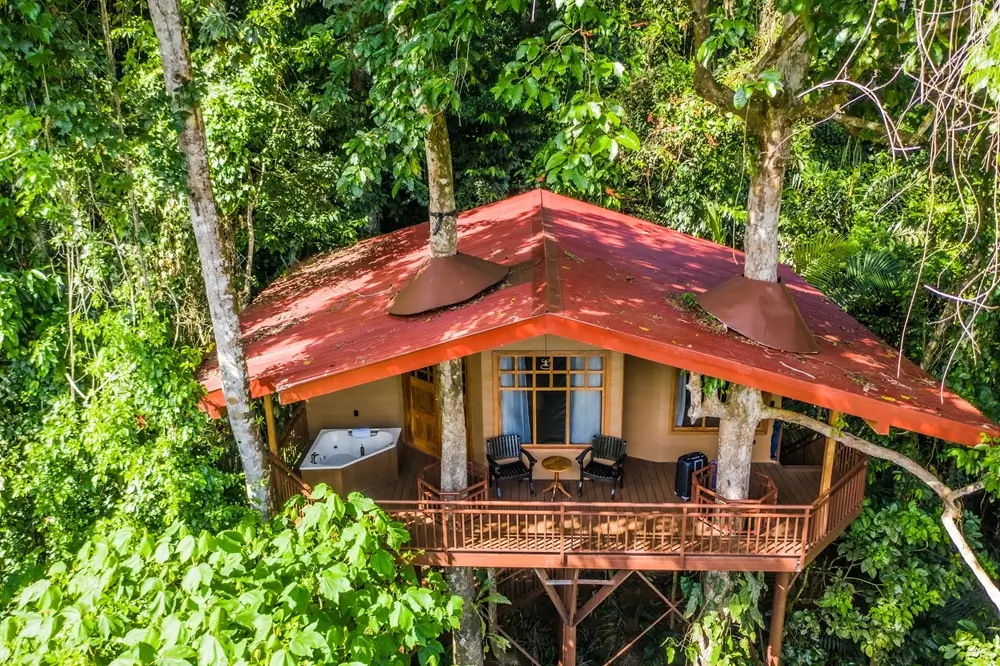 Maquenque eco lodge, des chambres dans les arbres, tree house, pour une expérience unique dans la canopée. Agence réceptive francophone au Costa Rica