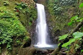 La cascade de La Paz au Waterfall Gardens, Costa Rica