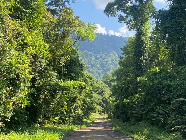 Traversée de la peninsule de Osa par la piste du village de Rincon à Drake Bay. Séjour sur mesure au Costa Rica