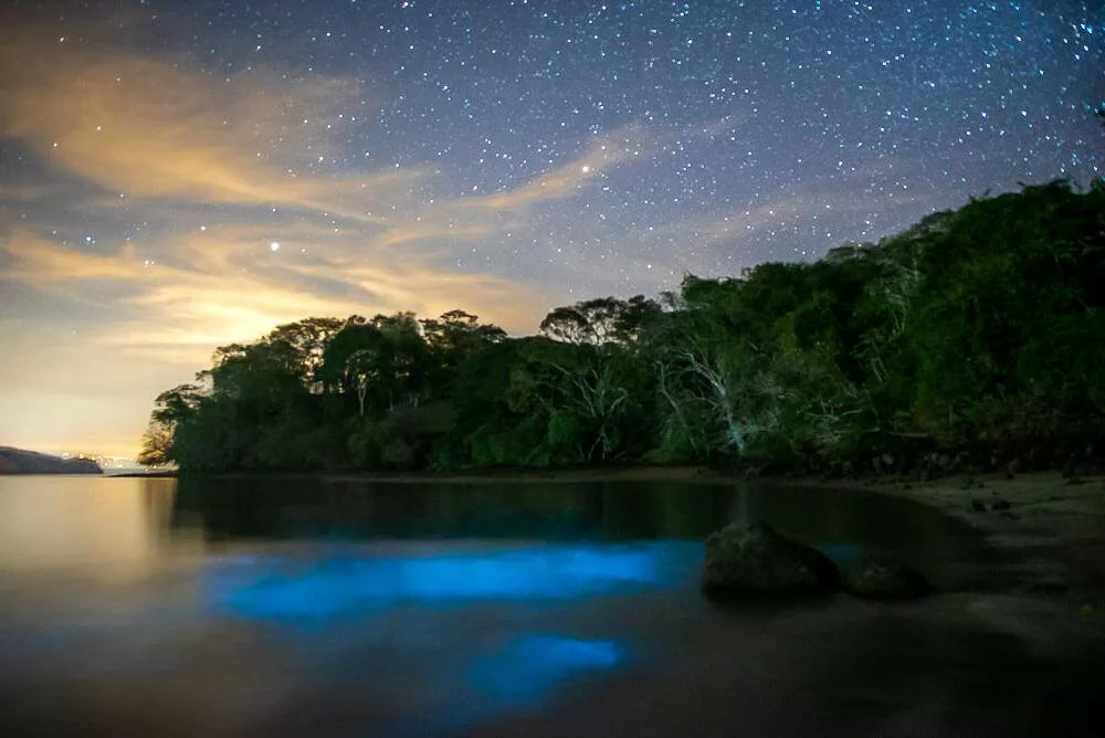 La bioluminescence au Costa Rica. Voyage sur mesure avec une agence locale francophone