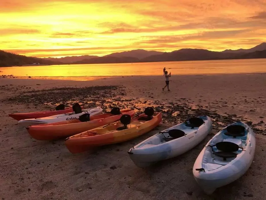 La bioluminescence au Costa Rica. Voyage et découverte du Costa Rica