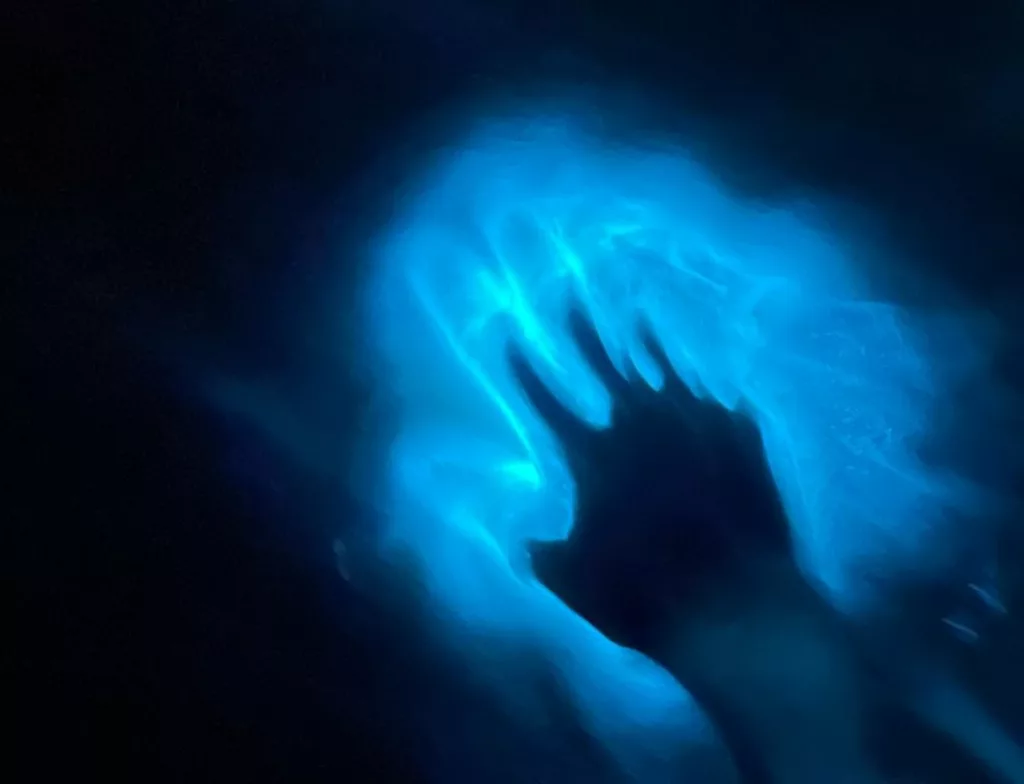 La bioluminescence au Costa Rica. Séjour en famille au Costa Rica