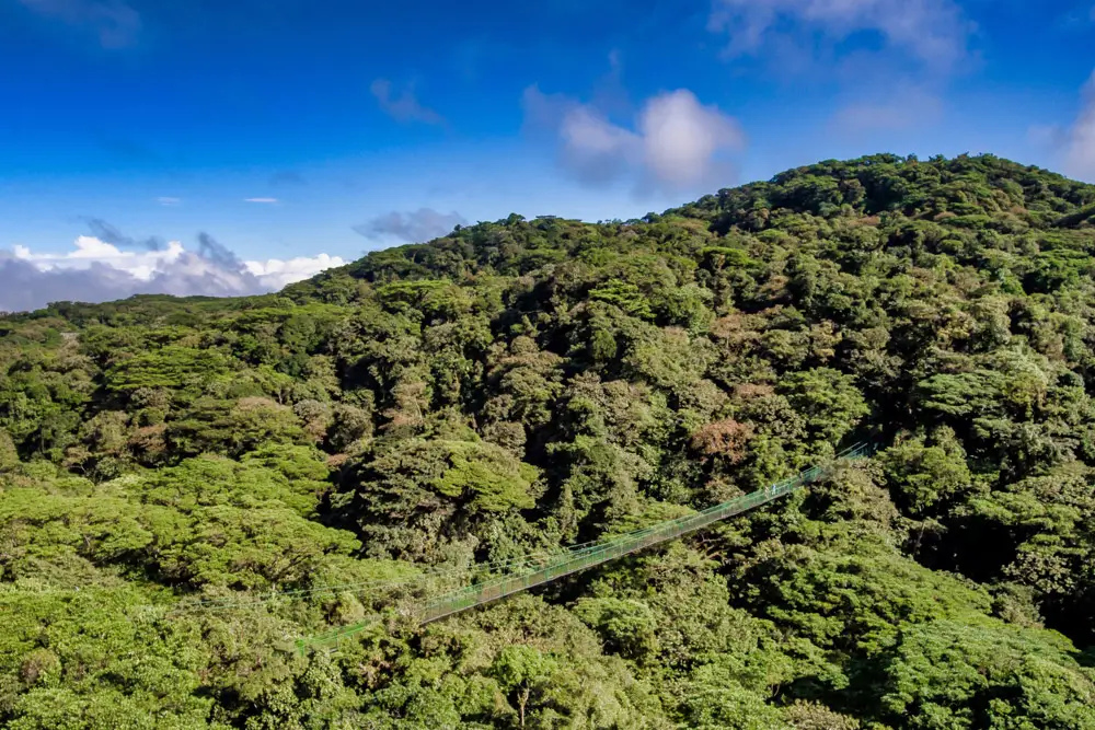 Ponts suspendus dans la forêt tropicale, région du volcan Arenal. 10 jours au Costa Rica Itinéraire.