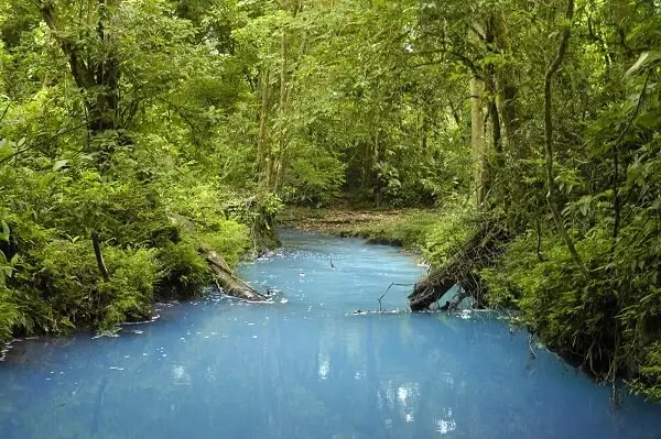 Rio Celeste dans le parc national du volcan Tenorio, Costa Rica