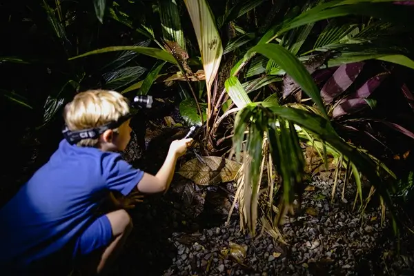 Observations nocturnes au Costa Rica. Sejour et voyage sur mesure avec une agence francophone locale au Costa Rica