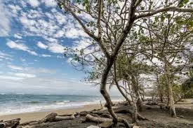 Atlantida Lodge, Cahuita, Costa Rica. Sejour sur mesure au Costa Rica