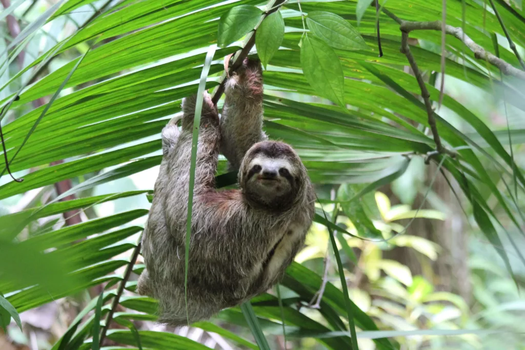 sejour sur mesure au Costa Rica, agence de voyage receptive au Costa Rica