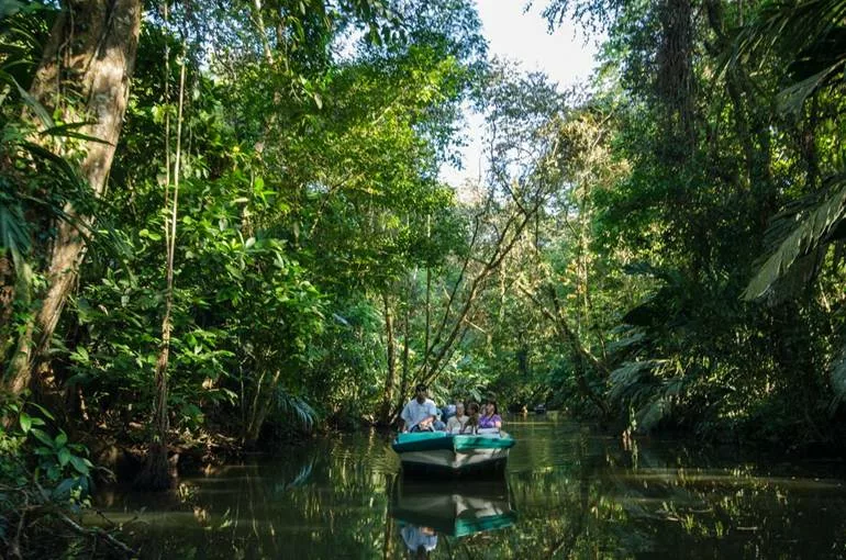 Les canaux de Tortuguero au Costa Rica. Circuit decouverte du Costa Rica