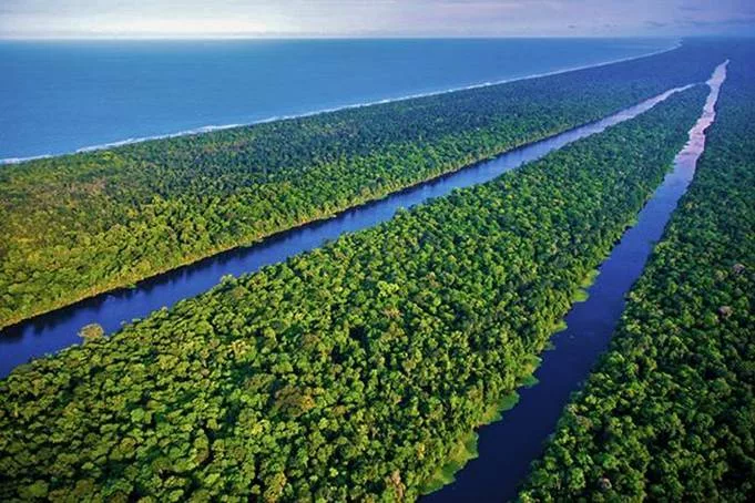 Le parc national de Tortuguero au Costa Rica. Sejour sur mesure au costa Rica