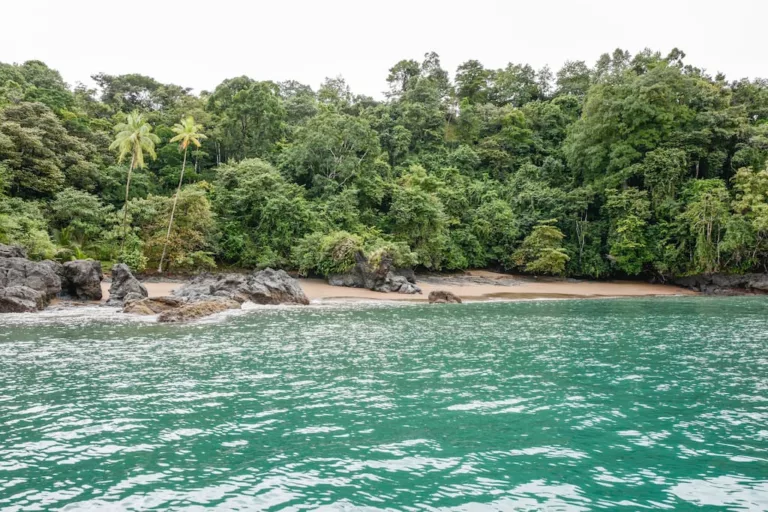 La plage de la Paloma lodge. Voyage au Costa Rica