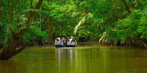 Hotel manatus, Tortuguero, parc national de Tortuguero. Sejour sur mesure au Costa Rica