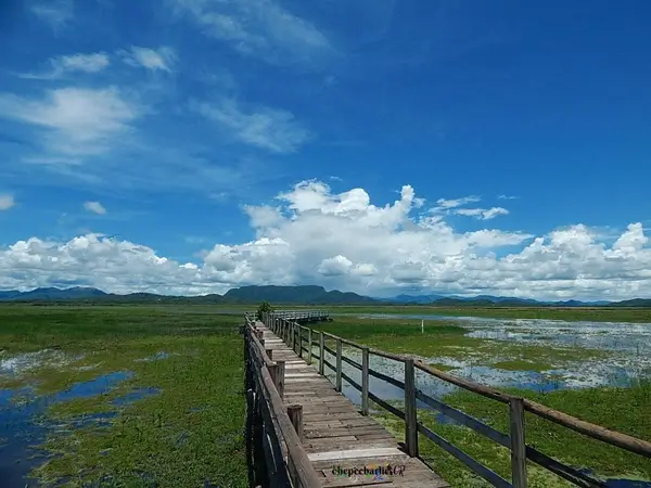 Le parc national Palo Verde Costa Rica, autotours au Costa Rica